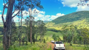 Mount Seaview - Jayco Newcastle Customer Weekend